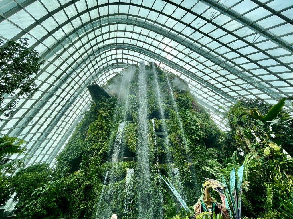 Cloud Forest Singapore