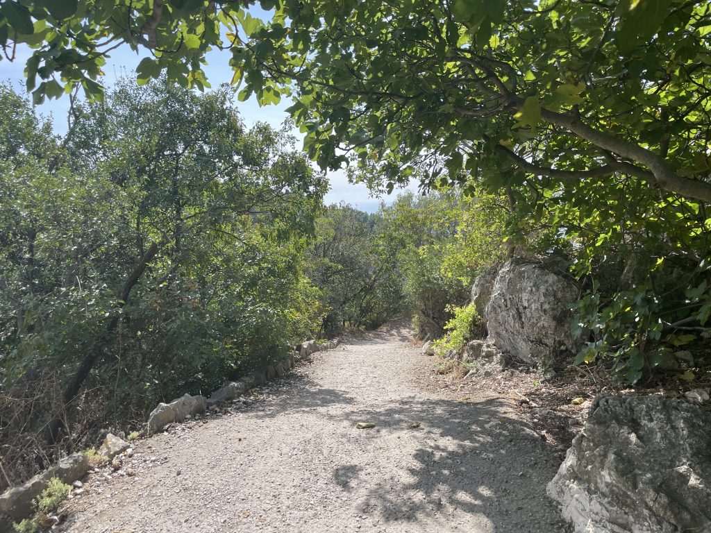 Il cammino di Nietzsche Eze