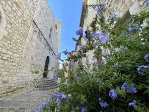 La collegiata Saint Paul de Vence