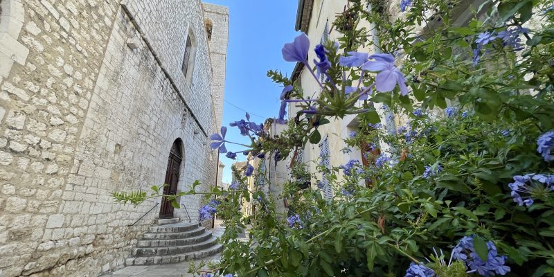 La collegiata Saint Paul de Vence