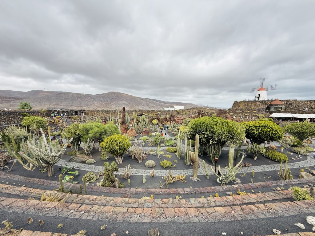 Giardino dei Cactus César Manrique e Lanzarote