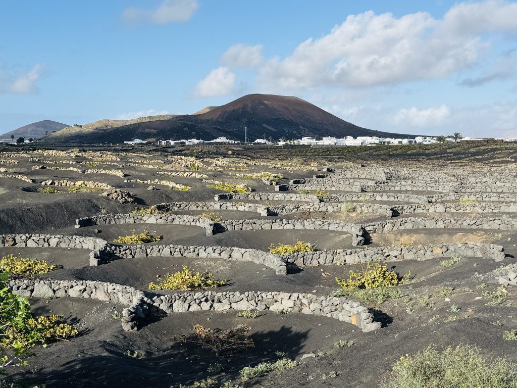 La Geria Lanzarote