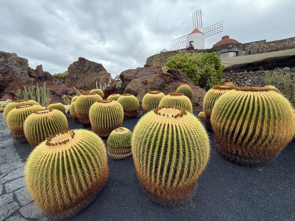 Giardino dei Cactus